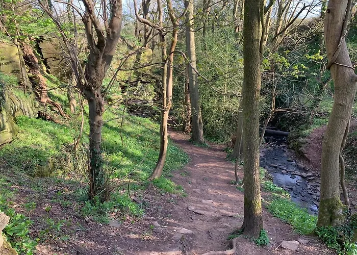 Vakantiehuis 2 Bedroom Cosy With Hot Tub In Hambrook Close To Centre Bristol